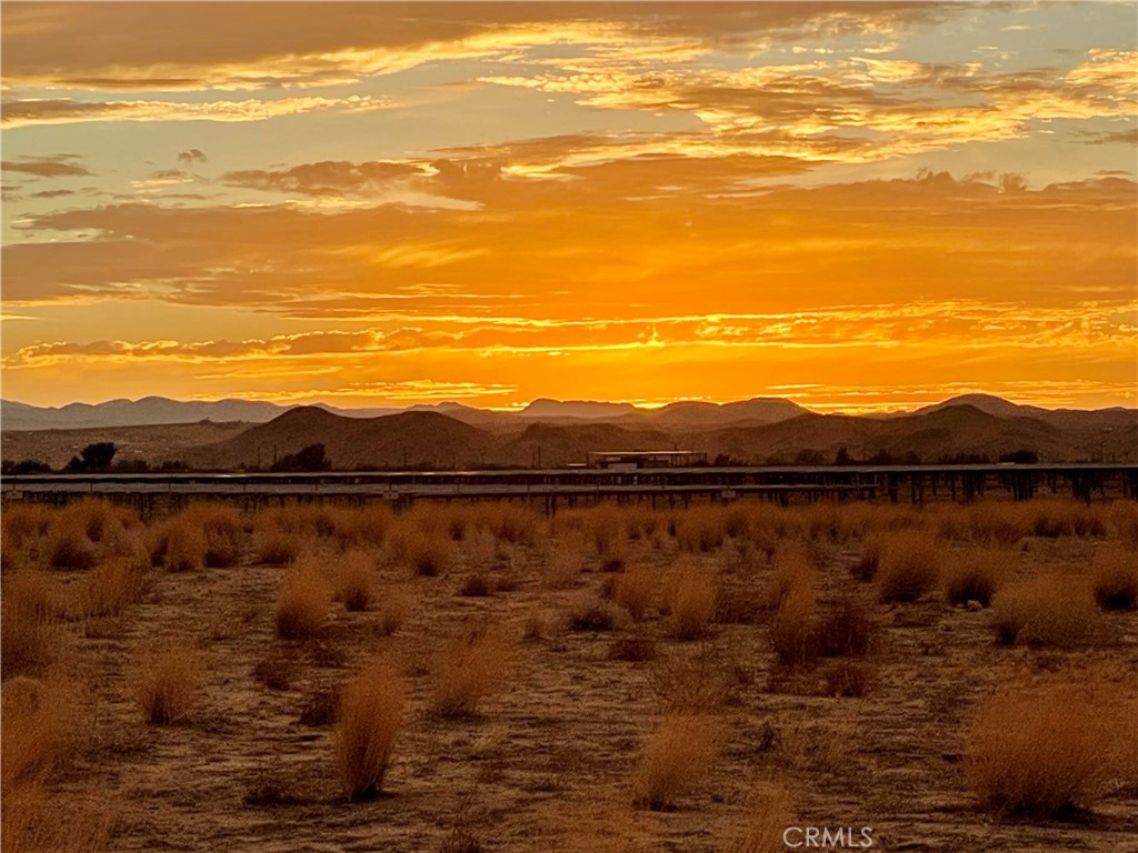 MLS #OC25244516 image #10