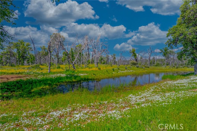 Detail Gallery Image 2 of 75 For 5873 Schilling, Coulterville,  CA 95311 - 2 Beds | 2 Baths