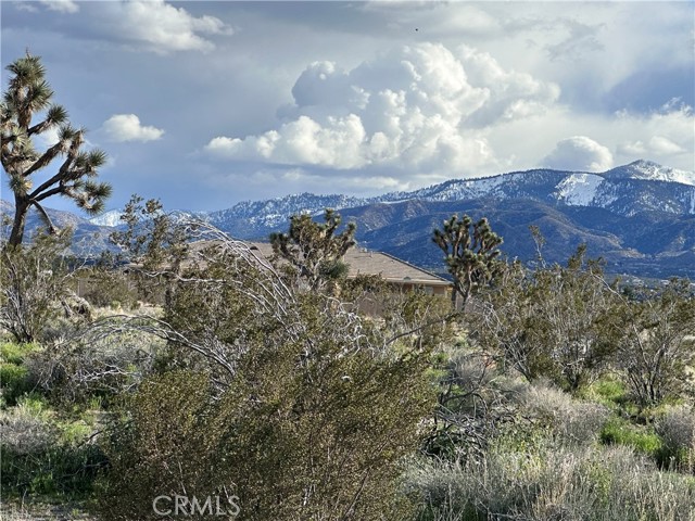 Detail Gallery Image 1 of 4 For 0 La Mesa Rd, Pinon Hills,  CA 92372 - – Beds | – Baths