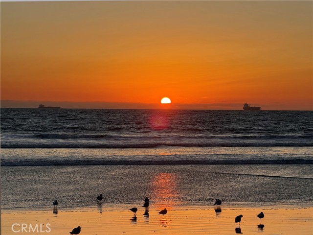 Detail Gallery Image 26 of 38 For 16933 Bluewater #51,  Huntington Beach,  CA 92649 - 2 Beds | 1 Baths