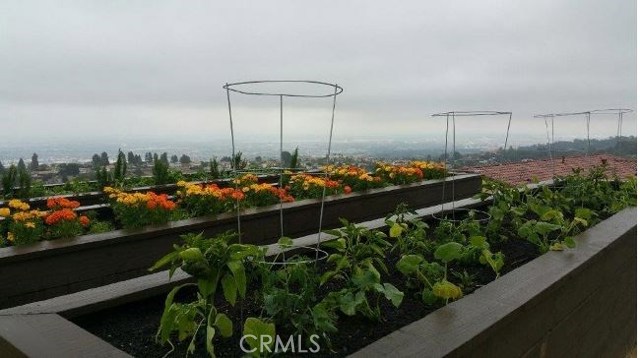 Community Garden Area