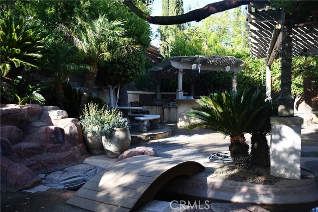 back yard