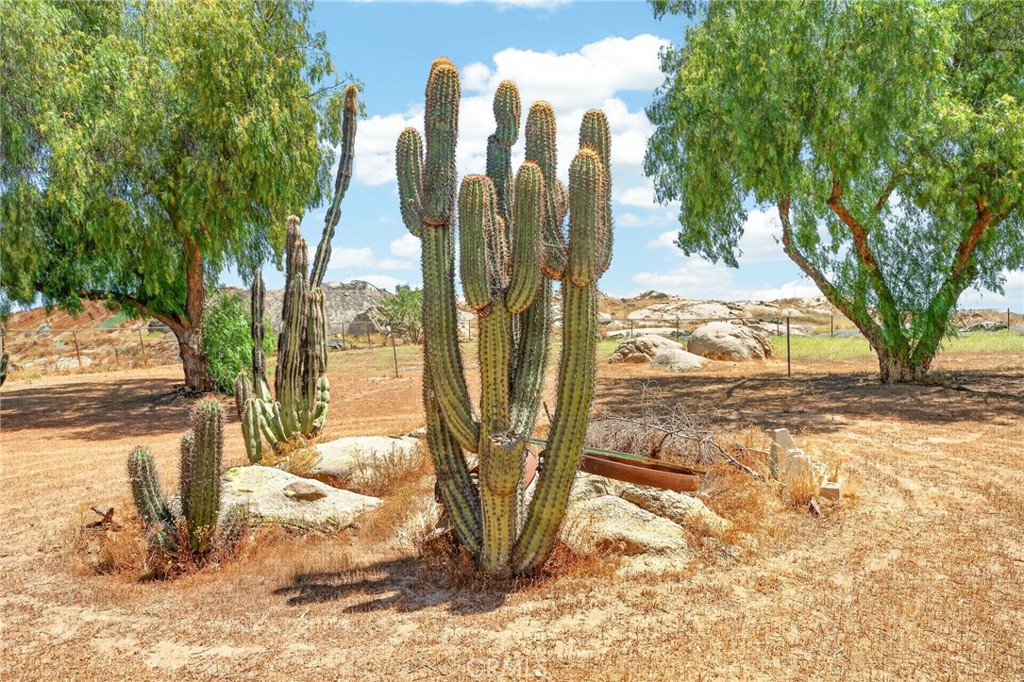https://media.crmls.org/medias/1b025ba9-c033-492f-9079-44676a3cd5c4.jpg?preset=X-Large