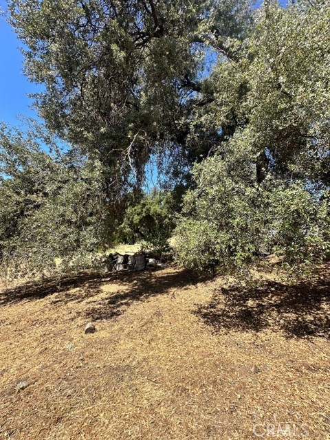 40570 Griffin Drive, Oakhurst CA: https://media.crmls.org/medias/1b097ddd-1f04-4e0f-aaab-0e122ee79d40.jpg