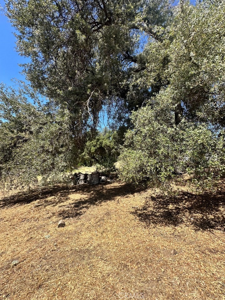 https://media.crmls.org/medias/1b097ddd-1f04-4e0f-aaab-0e122ee79d40.jpg?preset=X-Large