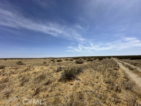 Front Image Thumbnail for CRCV26083516