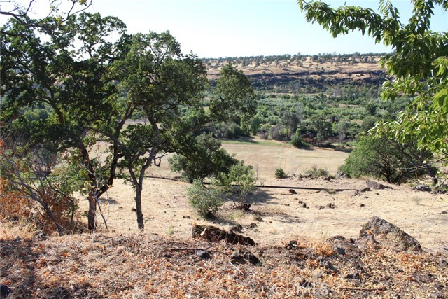 0 Rim Rock Drive, Chico, California 95928, ,Land,For Sale,0 Rim Rock Drive,CRPA23111697