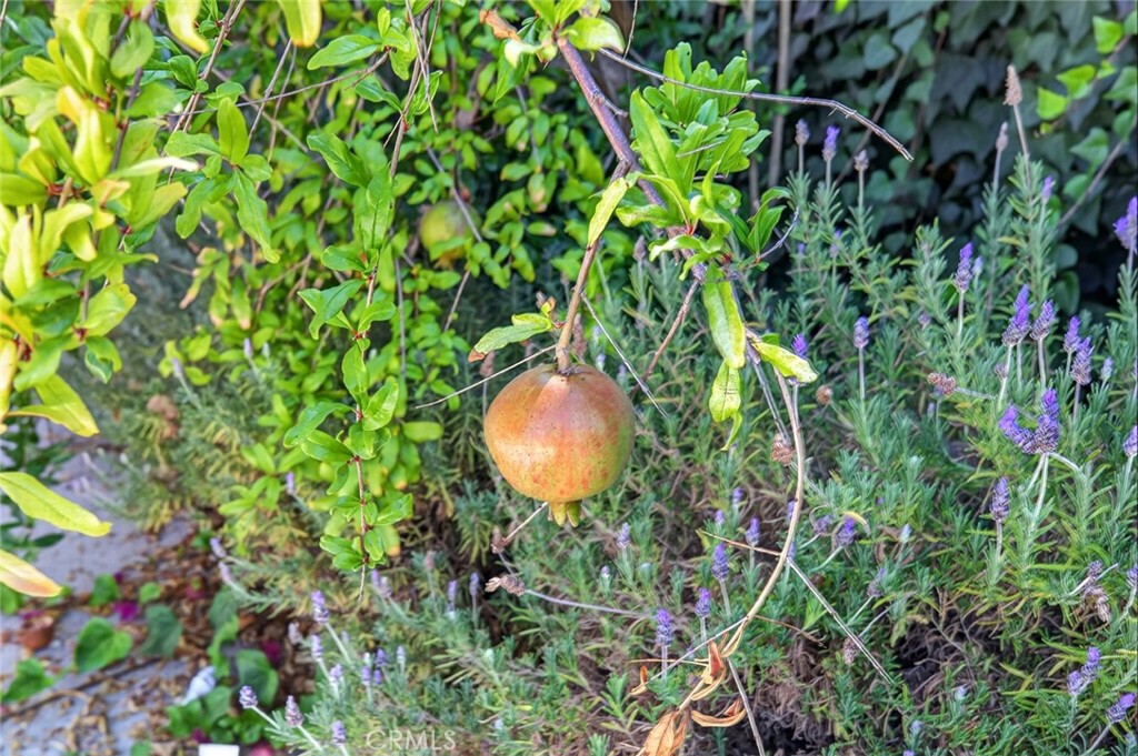 https://media.crmls.org/medias/1b19c616-a7d0-4aed-91e7-9085956ae6b4.jpg?preset=X-Large