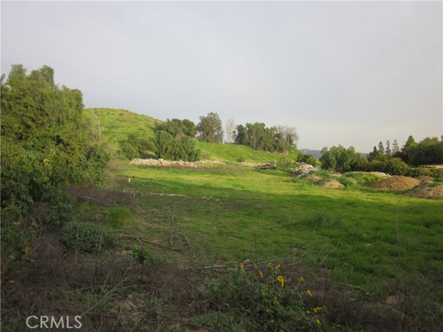 Image 1 of 12 For 11819 Kagel Canyon