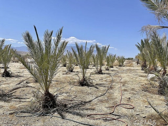 73315 Helms, Desert Hot Springs CA: https://media.crmls.org/medias/1b1e7fed-2444-4408-acd8-6f316da84bc3.jpg