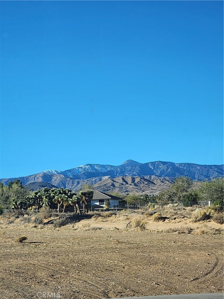 MLS #CV25255822 image #44