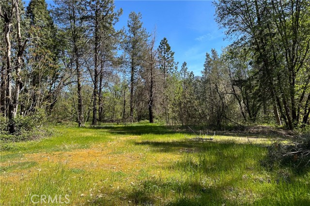 Front Image Thumbnail for CRIV26028984