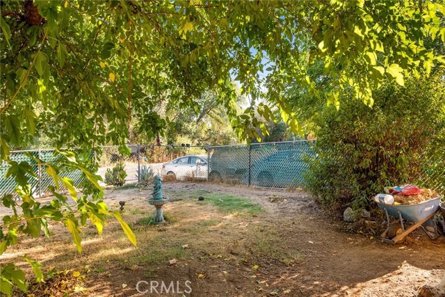 Back yard