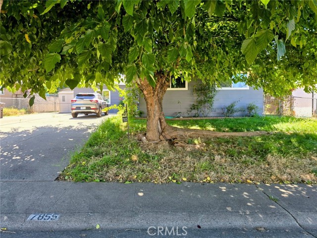 Front Image Thumbnail for CRPW26140086