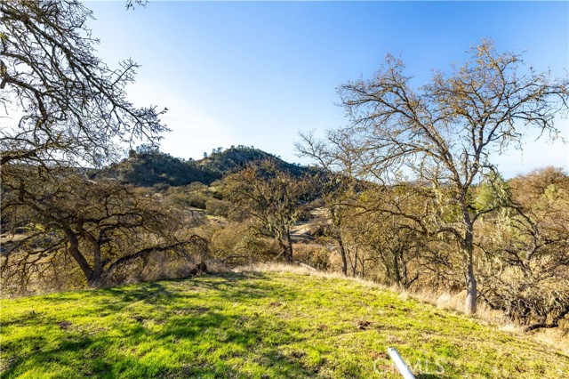 Detail Gallery Image 35 of 35 For 5085 Bluebird Ln, Paso Robles,  CA 93446 - 3 Beds | 2 Baths