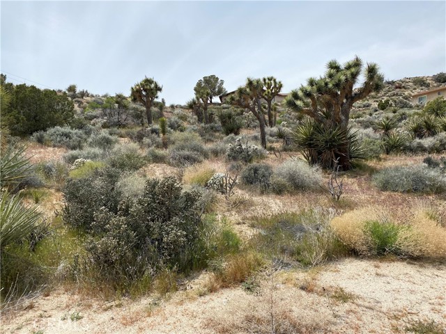 Image 3 for 0 Farrelo Rd, Yucca Valley, CA 92284