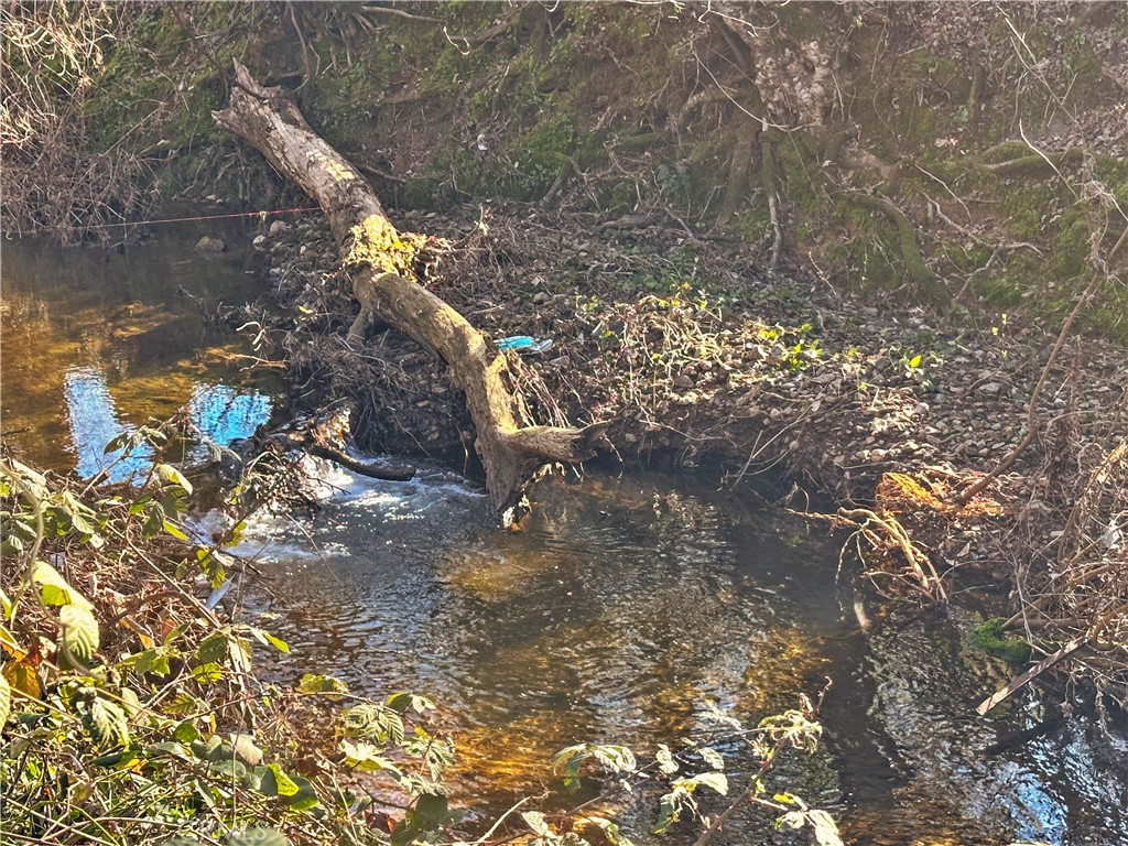 https://media.crmls.org/medias/1b3168b0-9966-4150-ab5b-525476c62970.jpg?preset=X-Large