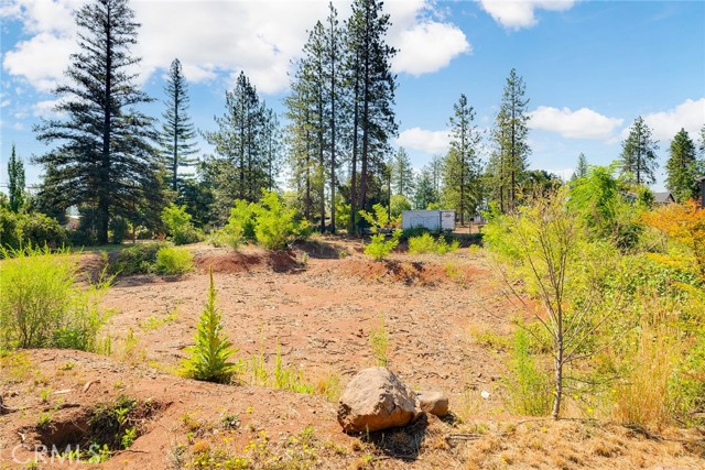 Detail Gallery Image 16 of 25 For 6009 Pentz Rd, Paradise,  CA 95969 - – Beds | – Baths