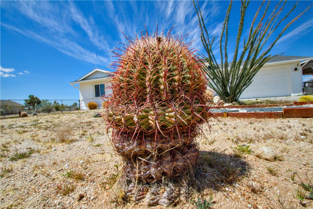 MLS #OC25244035 image #30