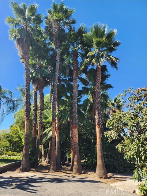 Detail Gallery Image 26 of 41 For 7891 Minnesota, Corona,  CA 92881 - 3 Beds | 2 Baths