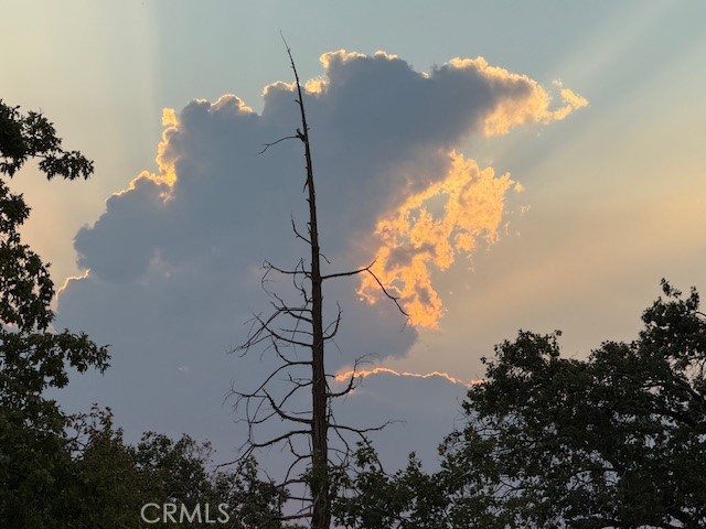 Detail Gallery Image 34 of 41 For 39468 Summit Dr, Oakhurst,  CA 93644 - 4 Beds | 3 Baths