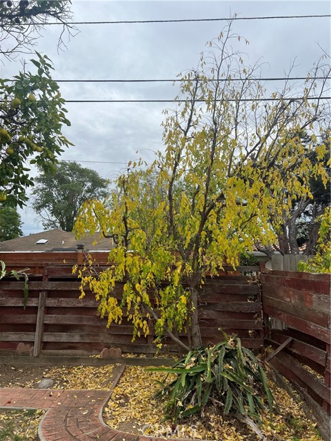 5251 Laurel Street, San Diego CA: https://media.crmls.org/medias/1b465e20-b715-4836-ab9d-84d941fafbc5.jpg