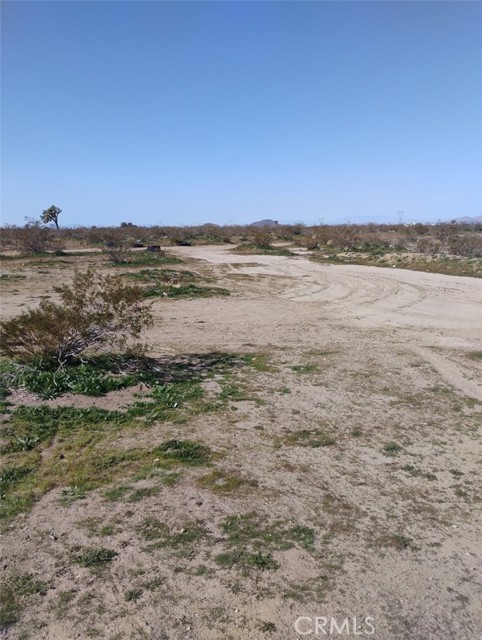 Detail Gallery Image 6 of 6 For 0 Colorado Rd, Pinon Hills,  CA 92372 - – Beds | – Baths