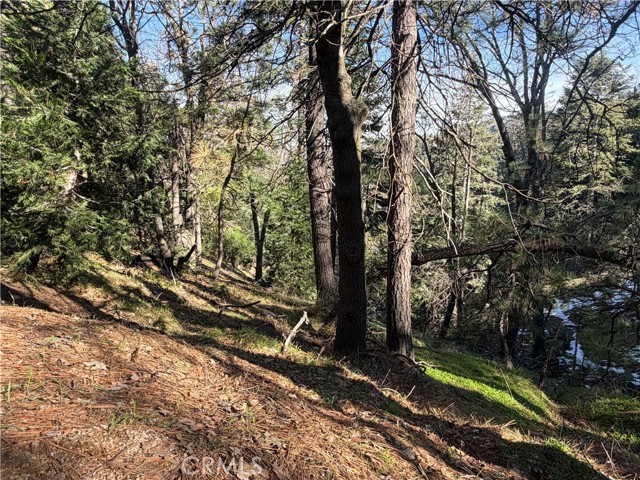 Detail Gallery Image 7 of 20 For 24989 Highland, Crestline,  CA 92325 - – Beds | – Baths