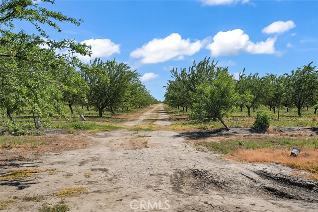 Image 5 of 21 For 0 Buchanan Hollow Road