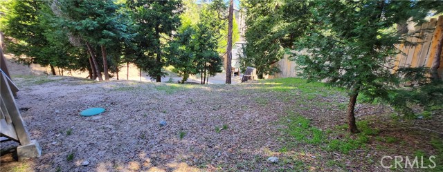 29164 South Lane, Cedar Glen CA: https://media.crmls.org/medias/1b5d8921-b904-4bfb-ad52-2cce48567020.jpg