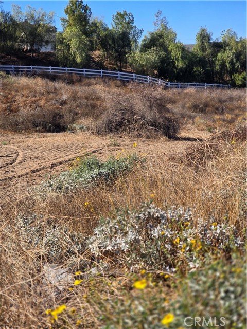 MLS #SR25238725 image #5