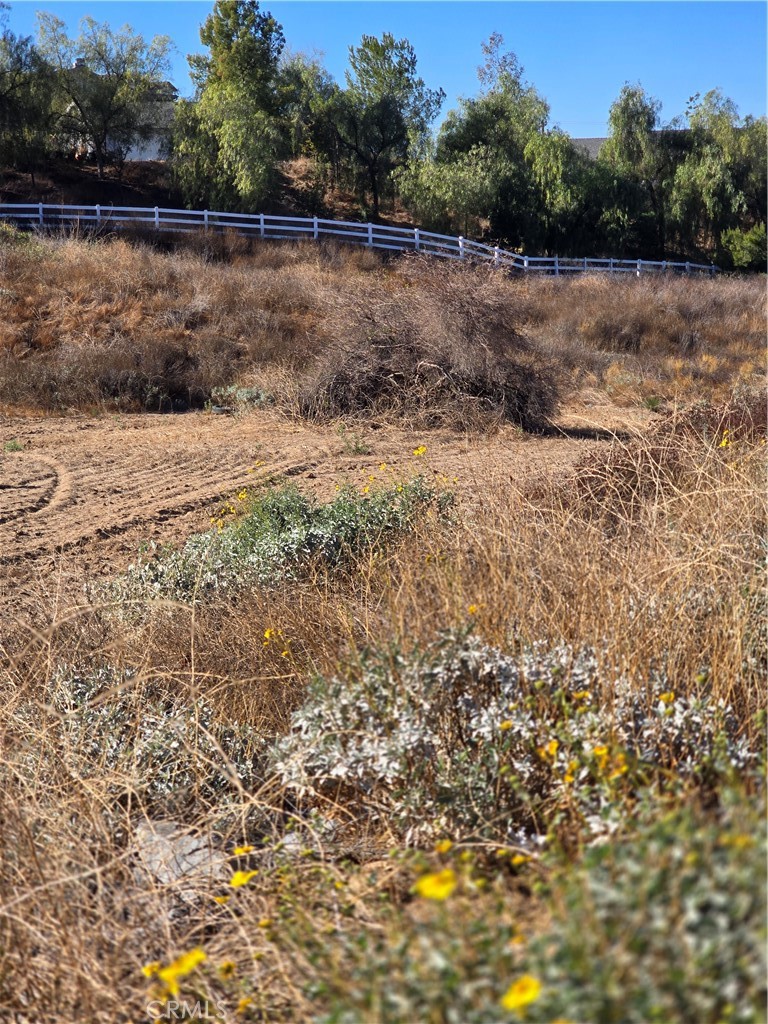 MLS #SR25238725 image #5