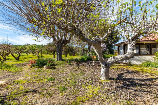 Detail Gallery Image 28 of 50 For 5335 Monterey, Paso Robles,  CA 93446 - 3 Beds | 3 Baths