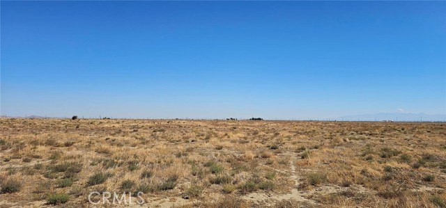 0 148th W Street, Rosamond CA: https://media.crmls.org/medias/1b6424fc-a7d9-4ffa-a32c-e8fae2751cbd.jpg