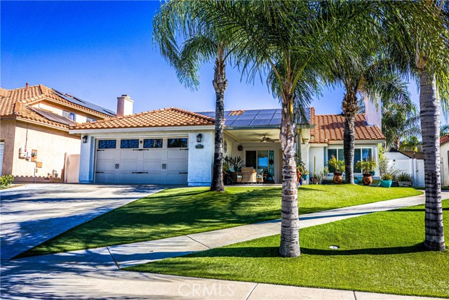 Front of the house low maintenance turf