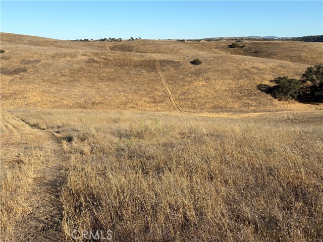 3 Maverick, Paso Robles CA: https://media.crmls.org/medias/1b6b3c25-0199-4b5f-bc18-c59409924de6.jpg