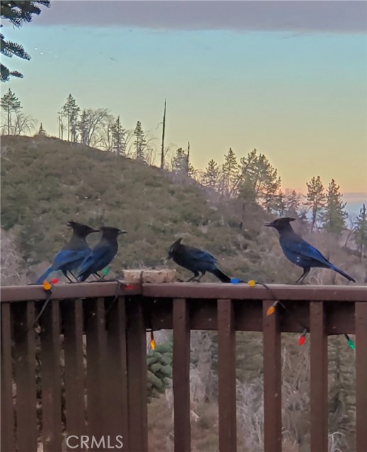 1119 Brentwood Drive, Lake Arrowhead CA: https://media.crmls.org/medias/1b6c9826-073f-4308-8f95-4efad7efec0e.jpg
