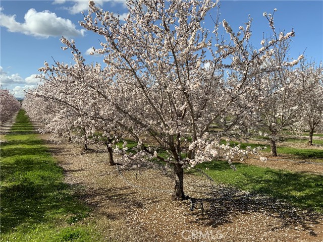 24895 New Jersey Avenue, Corning, California 96021, 3 Bedrooms Bedrooms, ,2 BathroomsBathrooms,Residential,For Sale,24895 New Jersey Avenue,CRSN24036321