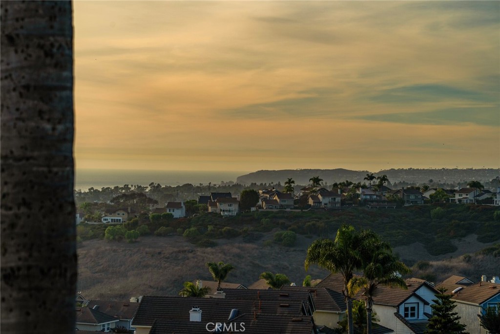 MLS #OC25245288 image #53