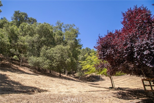 Detail Gallery Image 33 of 54 For 13205 Santa Lucia Rd, Atascadero,  CA 93422 - 3 Beds | 2 Baths