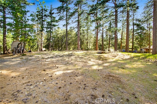 Detail Gallery Image 9 of 20 For 0 Pine Ridge Rd, Idyllwild,  CA 92548 - – Beds | – Baths