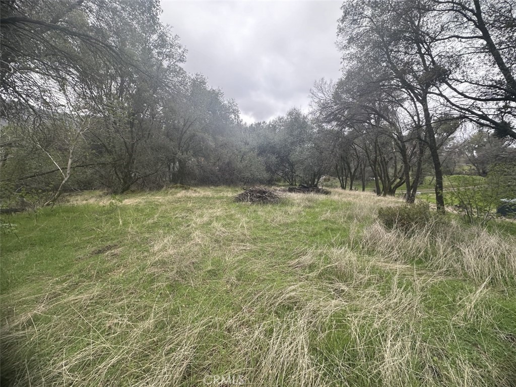 https://media.crmls.org/medias/1b7ce61c-63a5-4508-ad86-f8c97d057d72.jpg?preset=X-Large