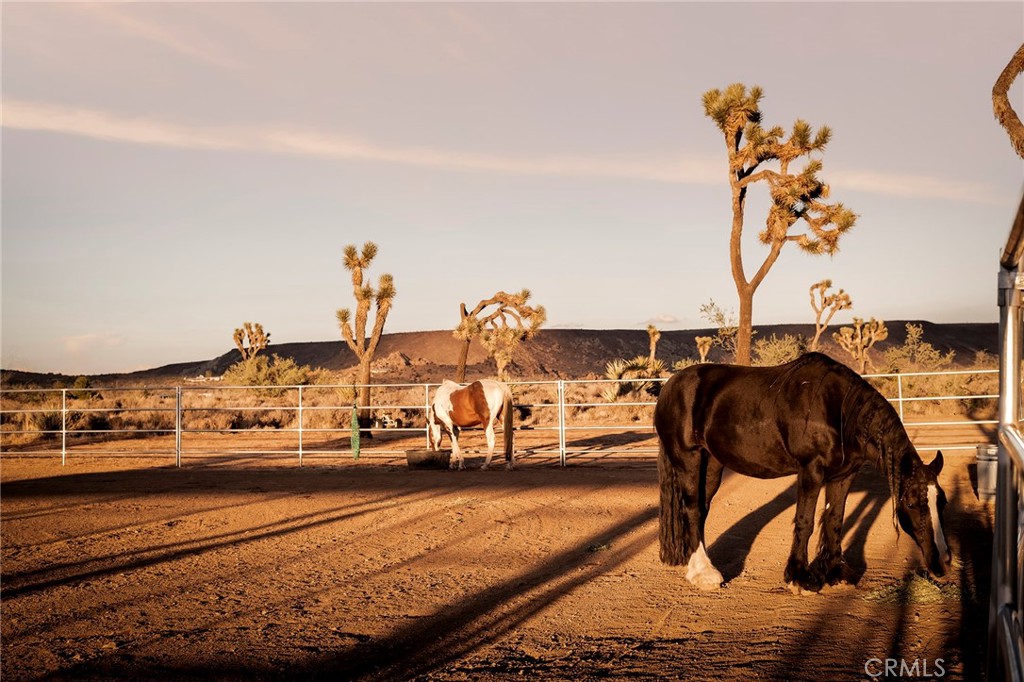 MLS #JT25252986 image #1