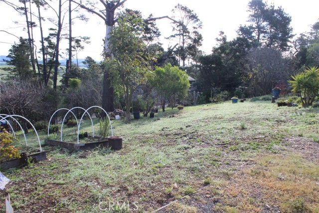 Detail Gallery Image 31 of 41 For 1909 Pineridge, Cambria,  CA 93428 - 2 Beds | 2 Baths