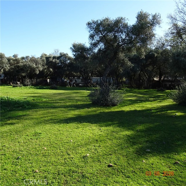 Front Image Thumbnail for CROR26049609