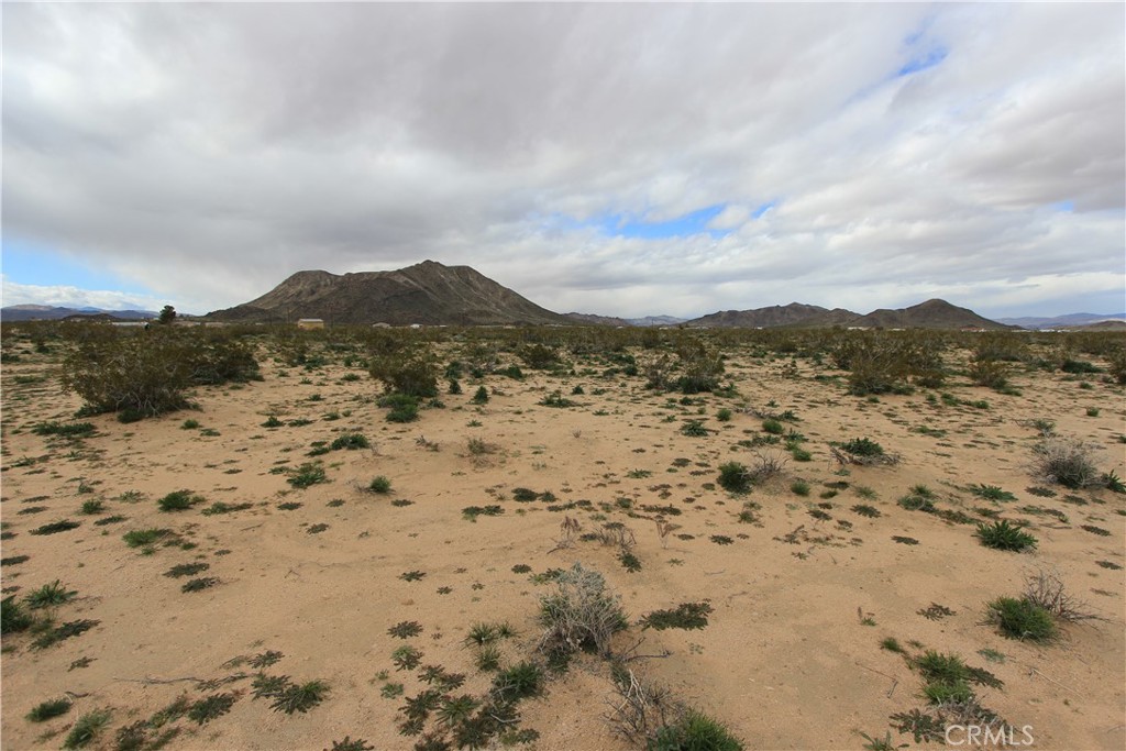 MLS #IV25255331 image #5