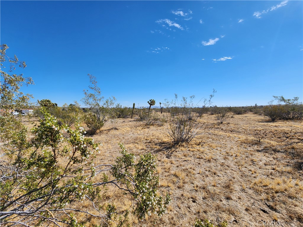 MLS #HD25223462 image #6