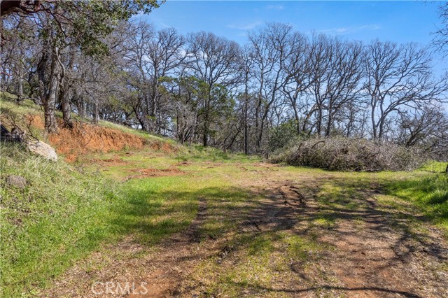 Detail Gallery Image 3 of 16 For 8250 Little Borax Lake Rd, Kelseyville,  CA 95451 - – Beds | – Baths