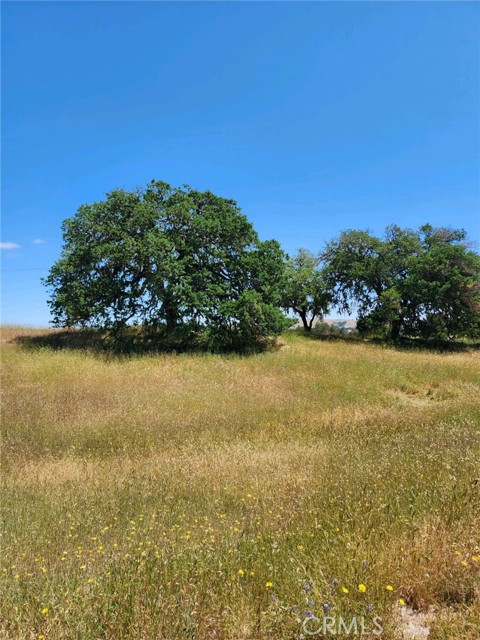 4560 Potrero, Atascadero CA: https://media.crmls.org/medias/1ba2e47f-bf98-4959-9dd4-7e7b3eaadfe0.jpg
