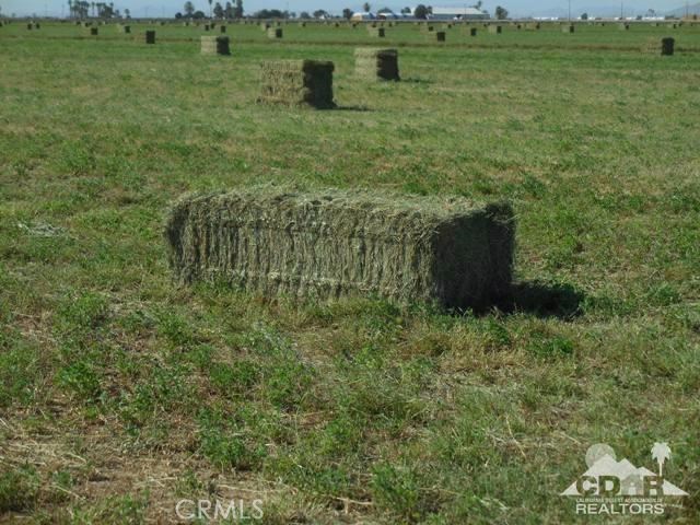 MLS #216029032DA image #8